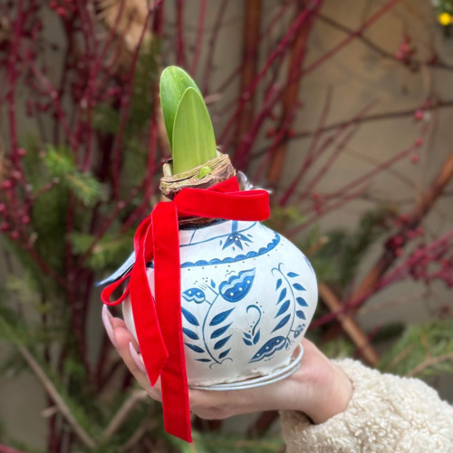 Эксклюзивная голландская коллекция расписанных вручную восковых луковиц амариллисов «Голландский Делфт»