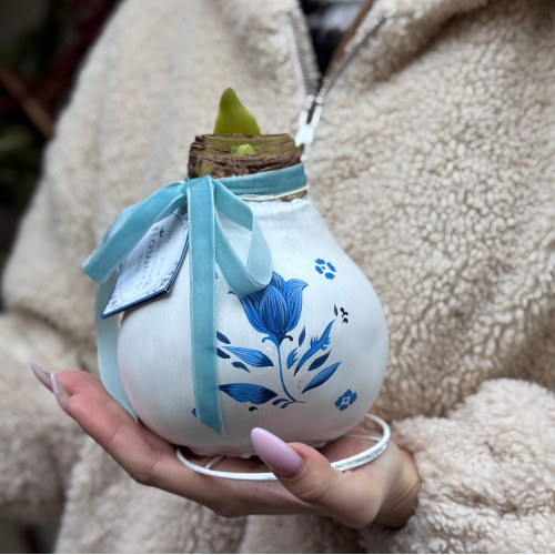 Эксклюзивная голландская коллекция расписанных вручную восковых луковиц амариллисов «Голландский Делфт»