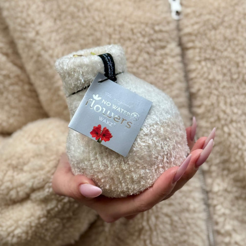 Воскований амариліс в светриках