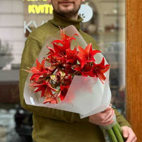 Яскравий букет із червоного зірчастого гіпеаструма «Запальна зірка»