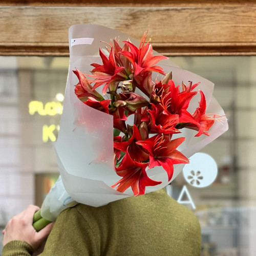 Яскравий букет із червоного зірчастого гіпеаструма «Запальна зірка»