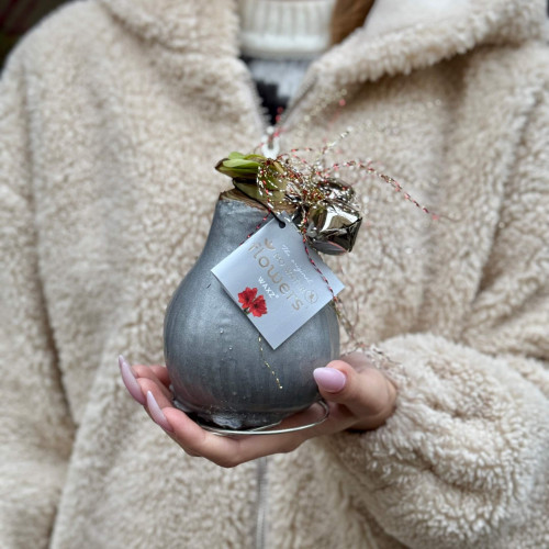 Восковая рождественская луковица амариллиса с колокольчиками «Рождественский звон»