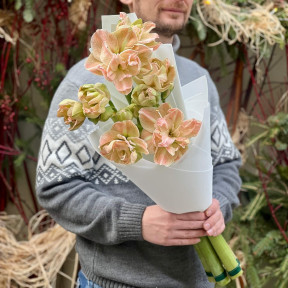 5 махрових амарилісів у букеті «Пухка карамель»