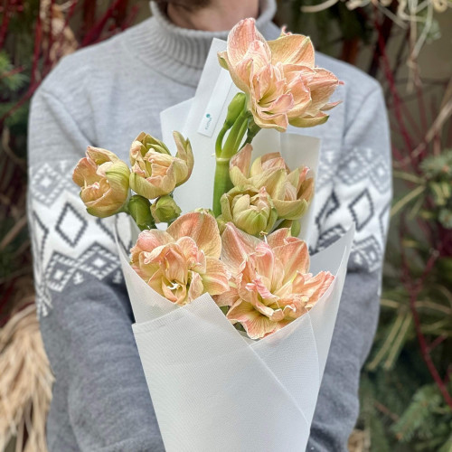 5 махровых амариллисов в букете «Пышная карамель»