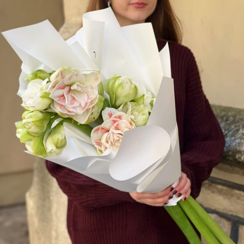 5 білих амарилісів у букеті «Ніжна зірка»