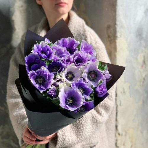 Фіолетові італійські анемони «Mistral Azzurro»