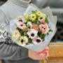 Нежный моно букет из 15 цветных анемонов «Лучик весны»