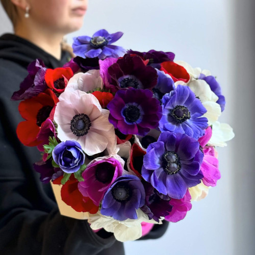 39 кольорових анемонів у букеті «Яскраві метелики»