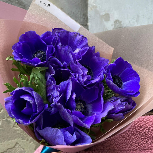 11 синих анемонов