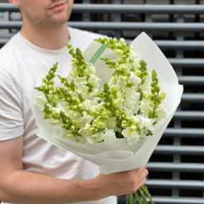 21 антиррінум у букеті «Ніжні метелики»