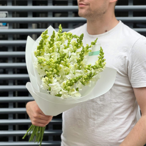 21 антиррінум у букеті «Ніжні метелики»