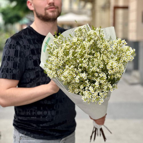 11 гілок білого хамелаціуму у букеті «Кришталеві зірочки»