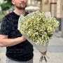 11 гілок білого хамелаціуму у букеті «Кришталеві зірочки»