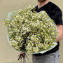 25 гілочок білого хамелаціуму у букеті «Арктична елегантність»