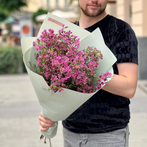11 branches of chamelaucium in a bouquet «Scattered Amethysts»