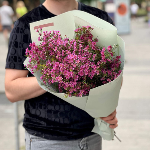 11 branches of chamelaucium in a bouquet «Scattered Amethysts»