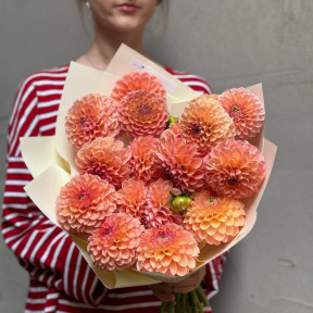 17 жоржин Linda's Baby у букеті «Карамельне сонечко»