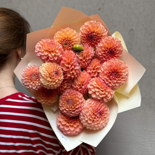 17 георгин Linda's Baby в букете «Карамельное солнышко»