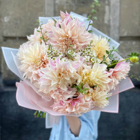 Далія «Cafe Au Lait»