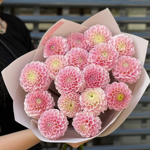 Мікс із 15 рожевих жоржин «Зефірні обійми»