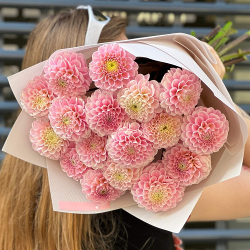 Мікс із 15 рожевих жоржин «Зефірні обійми»