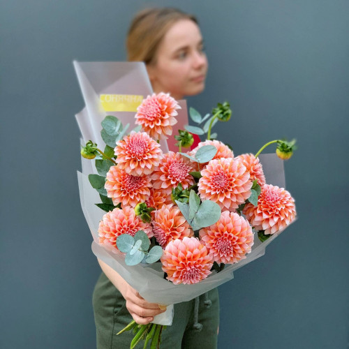 Далія «Peaches and Cream»