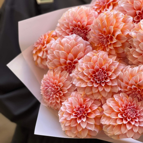 21 жоржина Peaches N’Cream у букеті «Персикова мелодія»