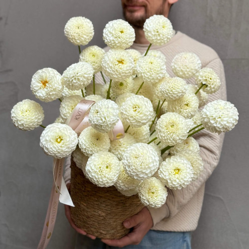 Білі жоржини в кошику «Ароматна заметіль»