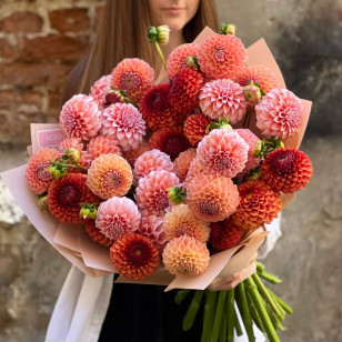 Мікс із 35 жоржин сортів Linda's Baby, Brown Sugar та Peaches and Cream «Кульки щастя»