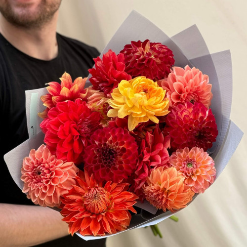 Mix of 15 bright dahlias «Fiery»