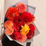 Mix of 15 bright dahlias «Fiery»