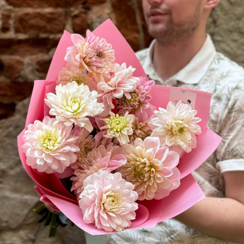 15 delicate pink dahlias in a bouquet «Dahlia Marshmallow»