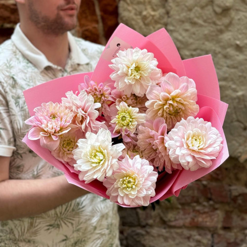 15 delicate pink dahlias in a bouquet «Dahlia Marshmallow»