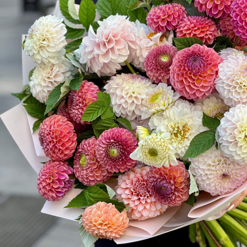 31 dahlias in a bouquet «Bright Polonyna»
