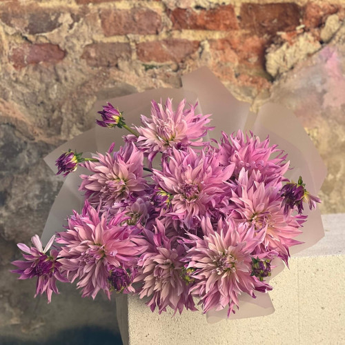 13 неймовірних об'ємних жоржин у букеті «Космічне сяйво»