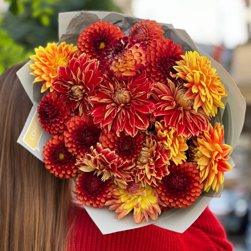 Bright bouquet of 19 dahlias «Scheherazade's Dawns»