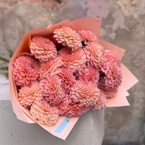 21 dahlias of Linda's Baby variety in a bouquet «Sweet Dahlias»