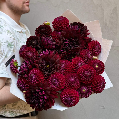 Букет із 29 жоржин «Таємна ніч»