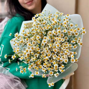 15 гілочок танацетуму у букеті «Ромашкове сонечко»