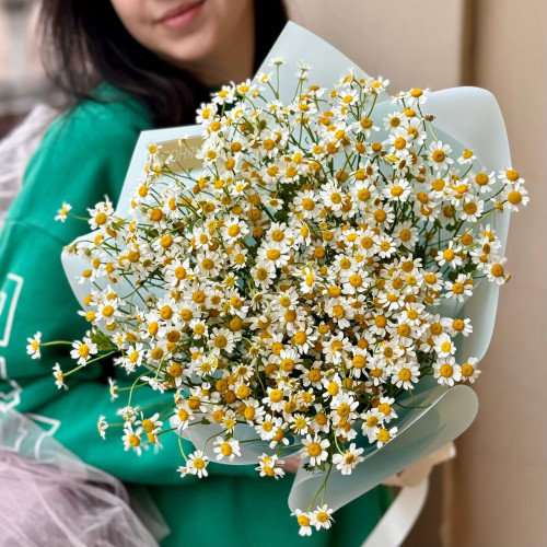 15 гілочок танацетуму у букеті «Ромашкове сонечко»