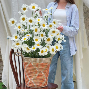 Квітковий кошик «Ромашкова соната»