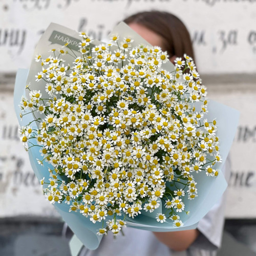 Bouquet «Daisies for You!»