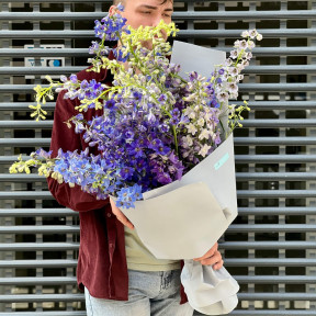 25 дельфініумів у букеті «Милість Нептуна»