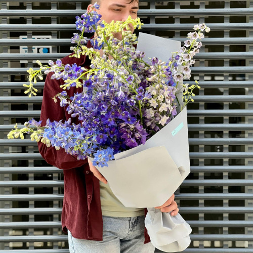 25 дельфініумів у букеті «Милість Нептуна»