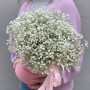 19 гілок у коробочці з білої гіпсофіли «Усмішка ангела»