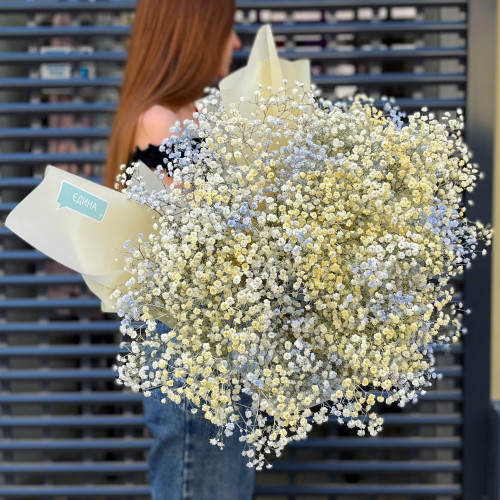 15 жовто-блакитних гіпсофіл