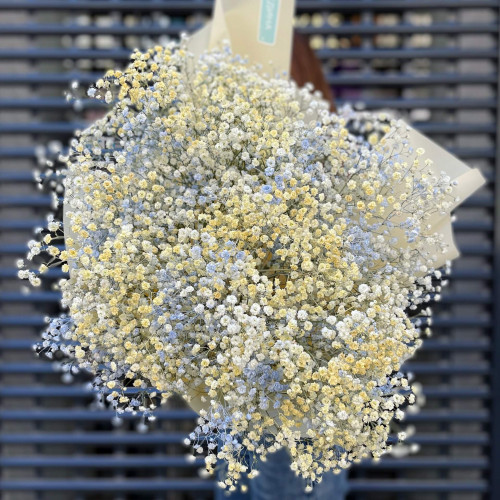 15 жовто-блакитних гіпсофіл