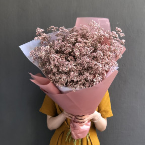 25 блідо-рожевих Гіпсофіл