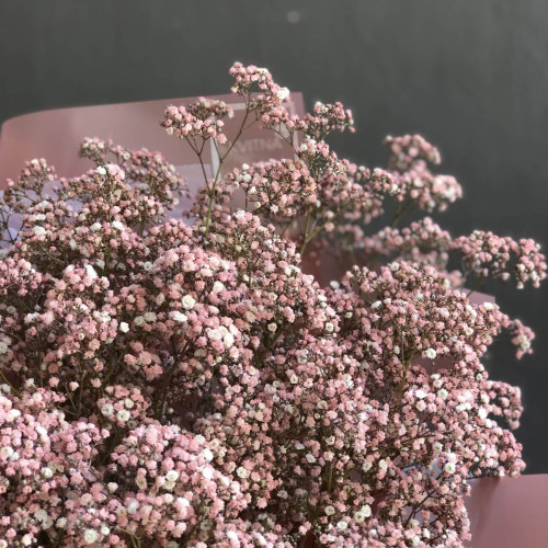 25 блідо-рожевих Гіпсофіл