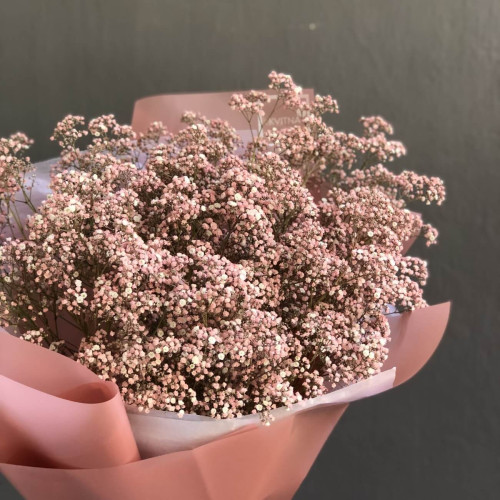 25 блідо-рожевих Гіпсофіл